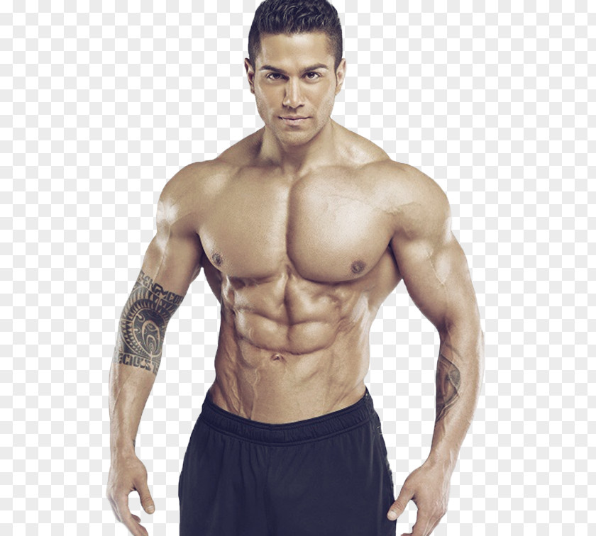 Athlete Bodybuilding Physical Fitness Arm Biceps Curl Shoulder PNG