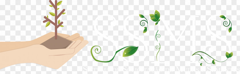 Ba Logo Brand Grasses Leaf PNG