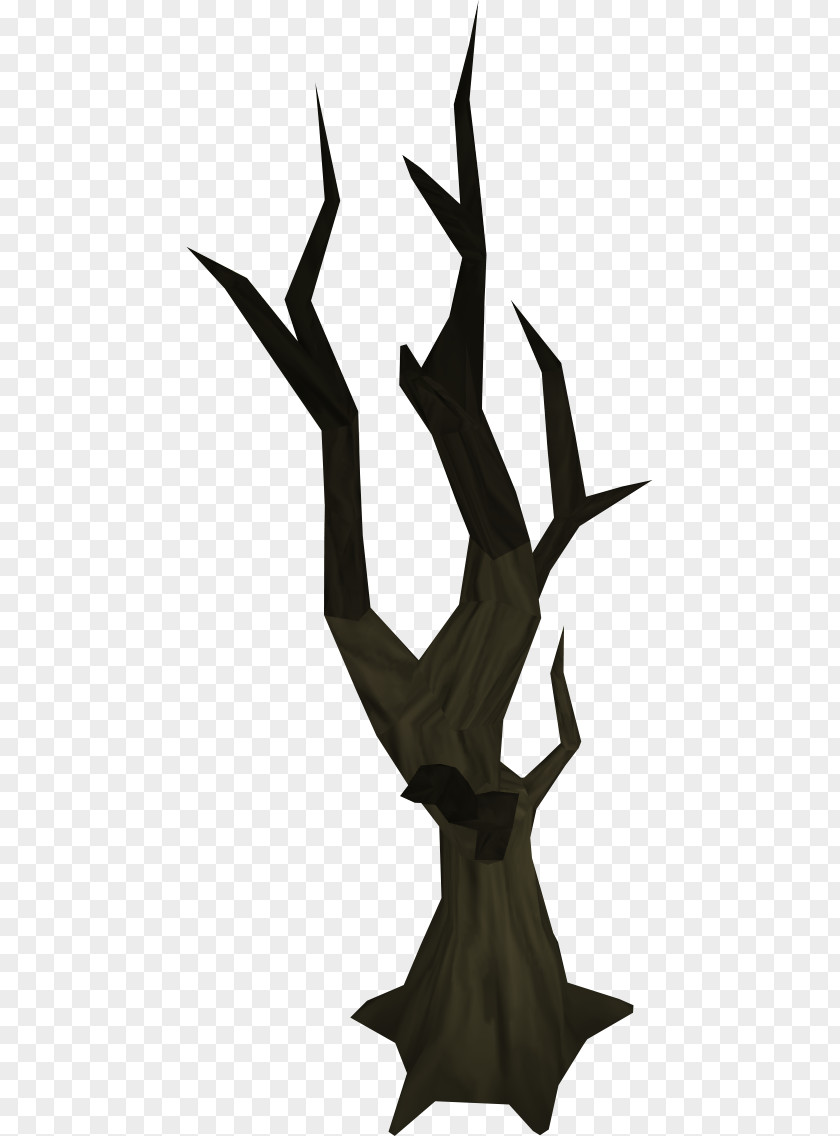 Cedar Tree Drawing Clip Art PNG