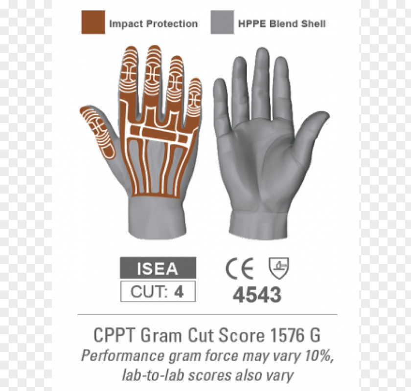 Cut-resistant Gloves Γάντι εργασίας Cuff Hand PNG gloves Hand, thin girl comparison clipart PNG