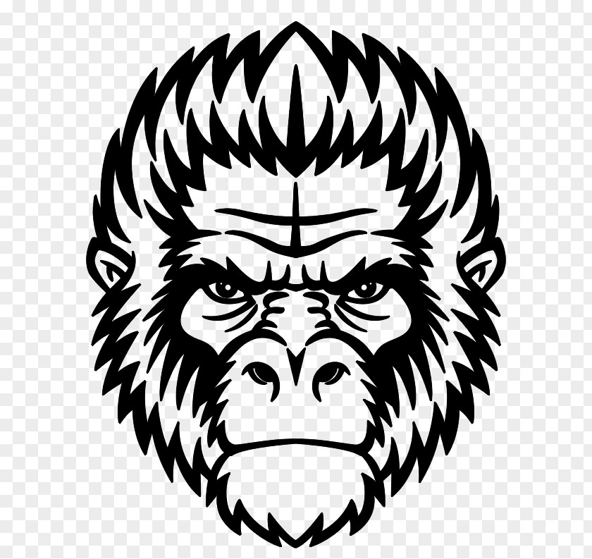 Gorilla Ape Chimpanzee Mandrill Monkey PNG