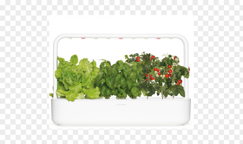 Lettuce Tomatoes Smart Garden Click & Grow Watering Cans Home Automation Kits PNG