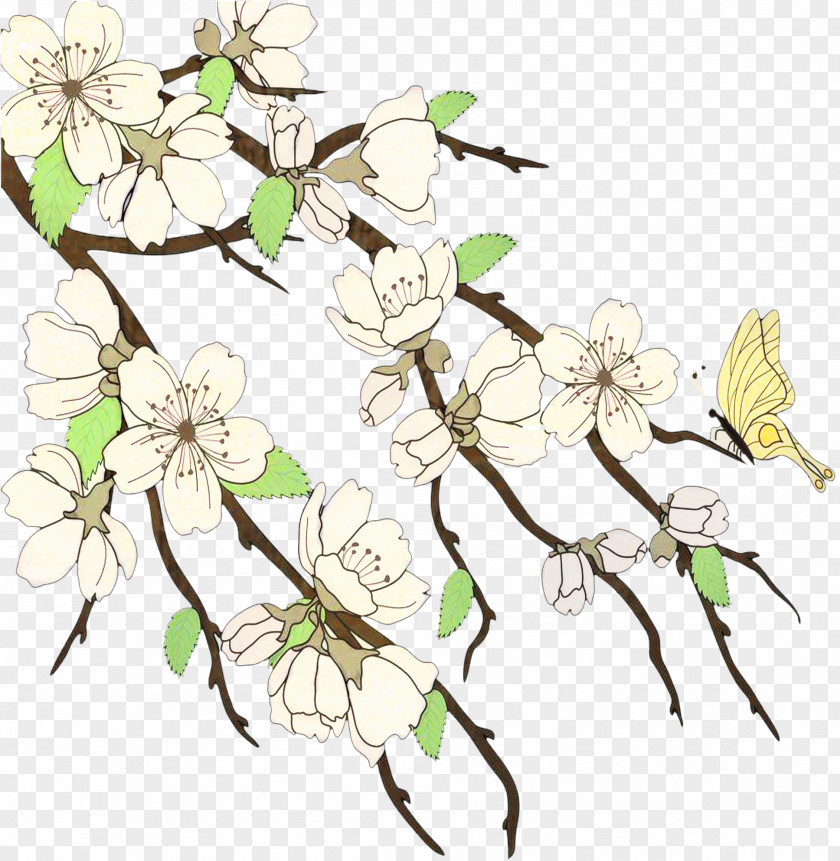 Malus Petal Flower Line Art PNG