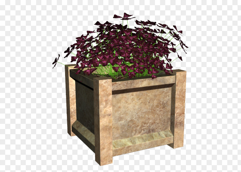 Plant Rectangle PNG