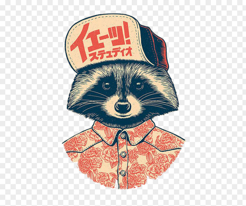 Raccoon Waiter Studio Graphic Design Drawing Illustration PNG