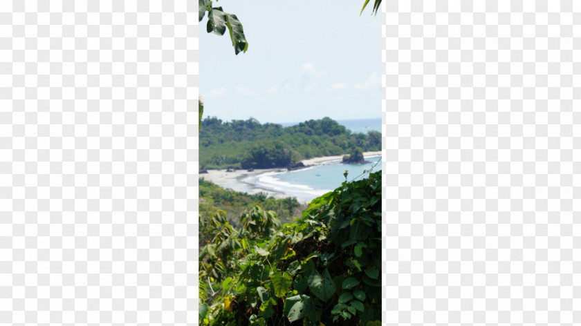 Water Resources Land Lot Real Property Sky Plc PNG