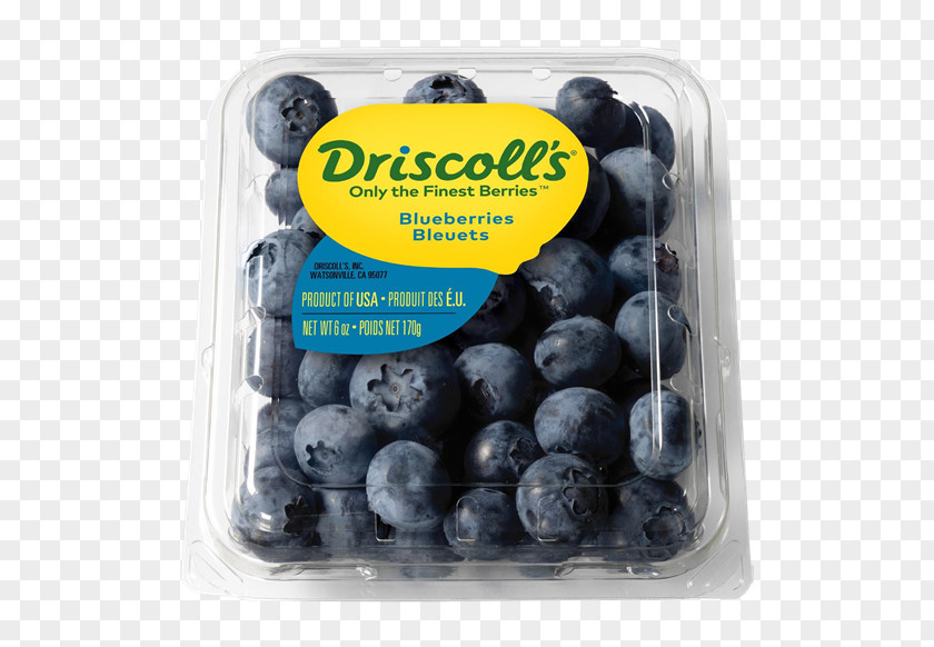 Blueberry Lowbush Driscoll's Bilberry Fruit PNG