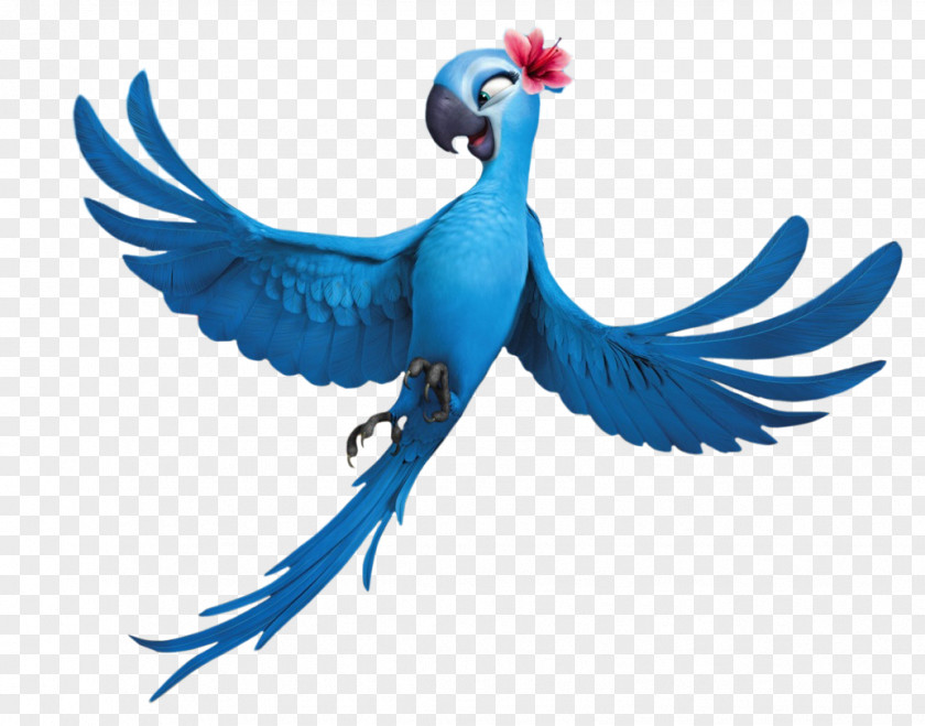 Cartoon Parrot Blu Rio Film Comedy Animation PNG