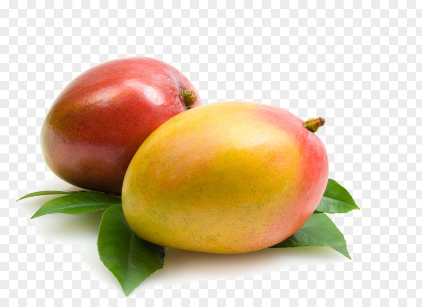 Fresh Mango Fruit High-definition Video Display Resolution Television Wallpaper PNG