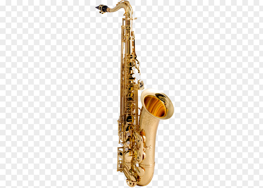 Tenor Saxophone Baritone Alto Mouthpiece PNG