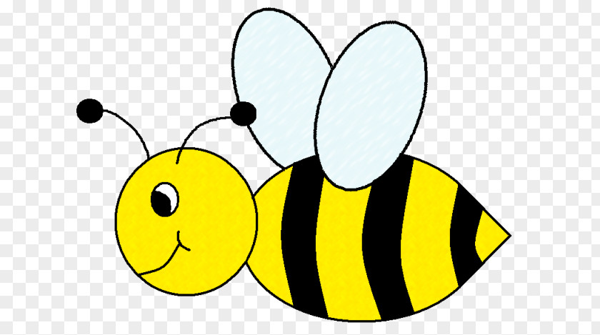 Bee Drawing Bumblebee Clip Art PNG