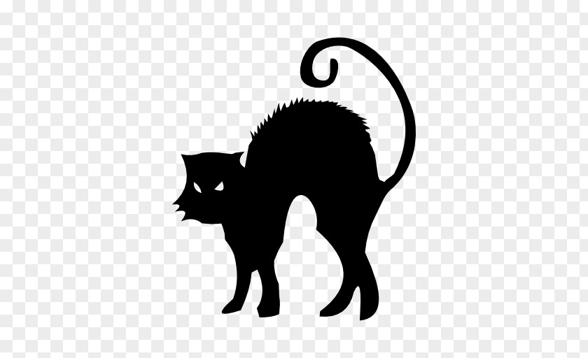 Black Cat Kitten Halloween PNG