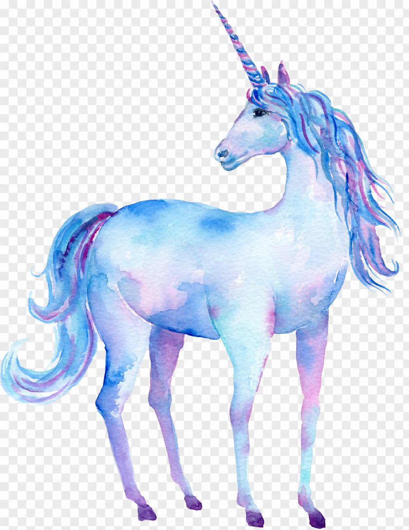 Hand Drawn Unicorn Decorations Watercolor Painting Art Poster PNG