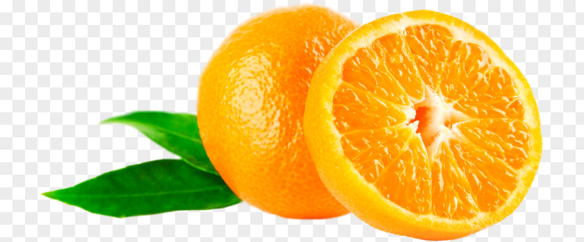 Orange Mandarin Parfumerie Perfume PNG