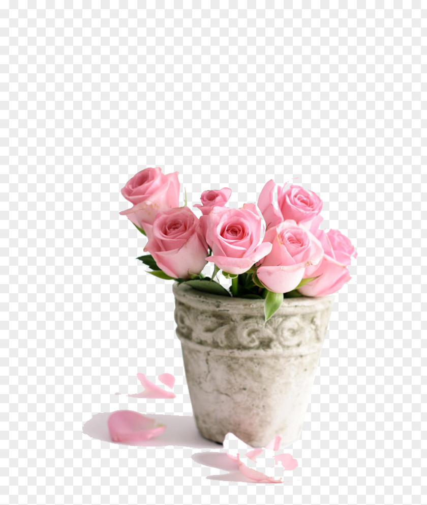 Pink Roses Birthday Cake Flower Happy To You Rose PNG