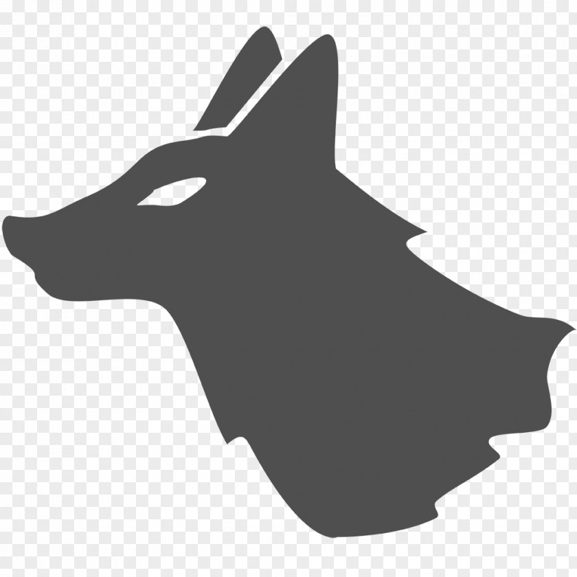 Popular Indie Dog Canidae Snout Carnivora Animal PNG