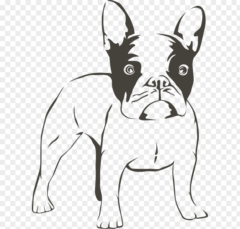 Puppy French Bulldog American Boxer PNG
