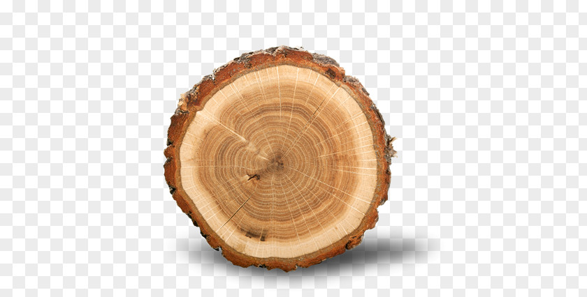 Tree Ring Wood Royalty-free Stock Photography PNG