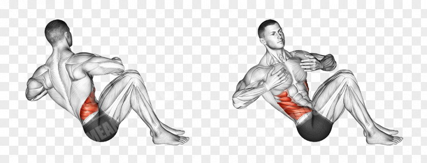 Twist Workout Russian Exercise Biceps Muscle Training PNG