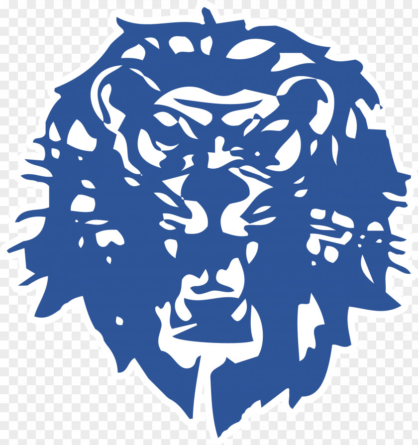 Washington High School 2017 Detroit Lions Season Hillsboro WCHO-FM PNG