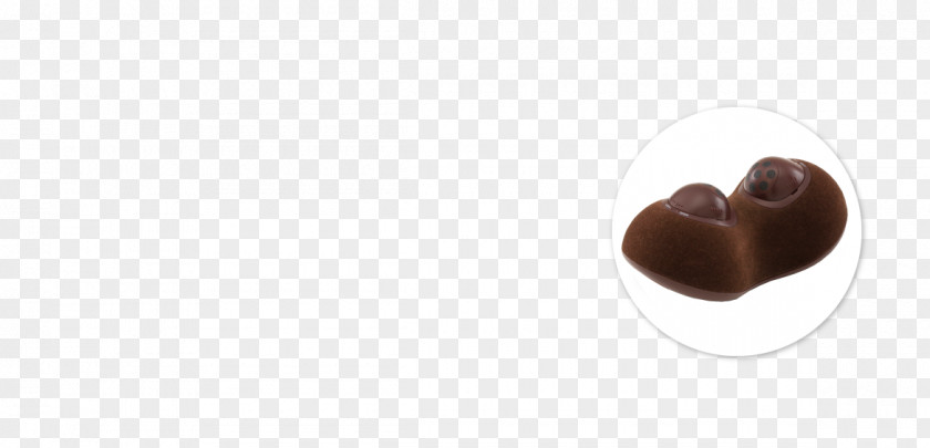 Chocolate Bonbon Praline Bossche Bol Flavor PNG