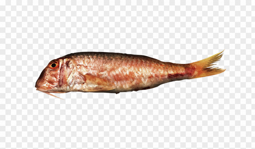 Fish Kipper Mullus Barbatus Flathead Grey Mullet Surmuletus PNG