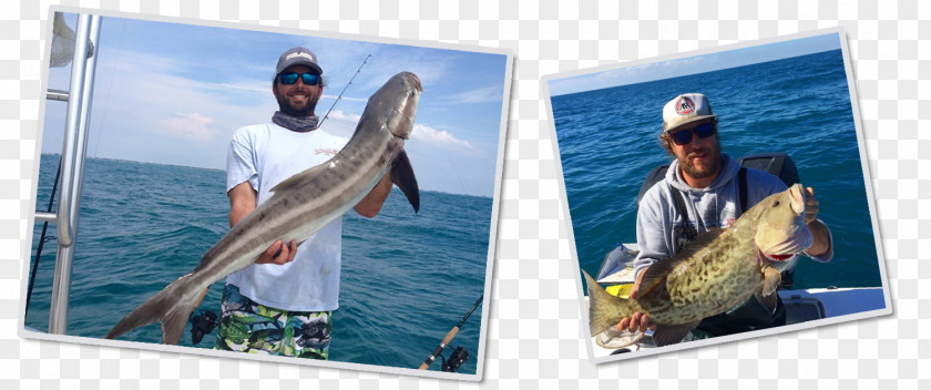 Fishing Bradenton-Sarasota-Venice, FL Metropolitan Statistical Area Gulf Cart Charters Leisure PNG