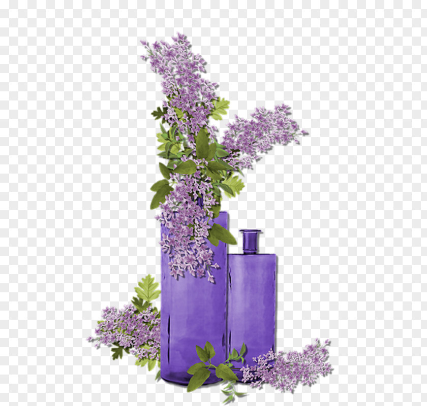 Lilac Flower Purple Violet Lavender PNG