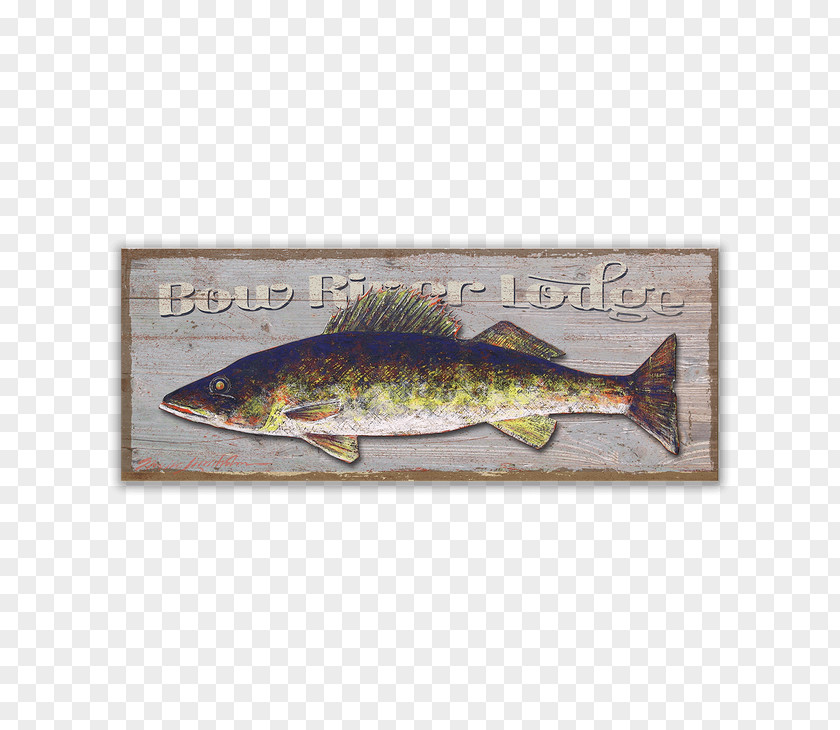 Metal Sign Walleye Fishing Fly Trout PNG