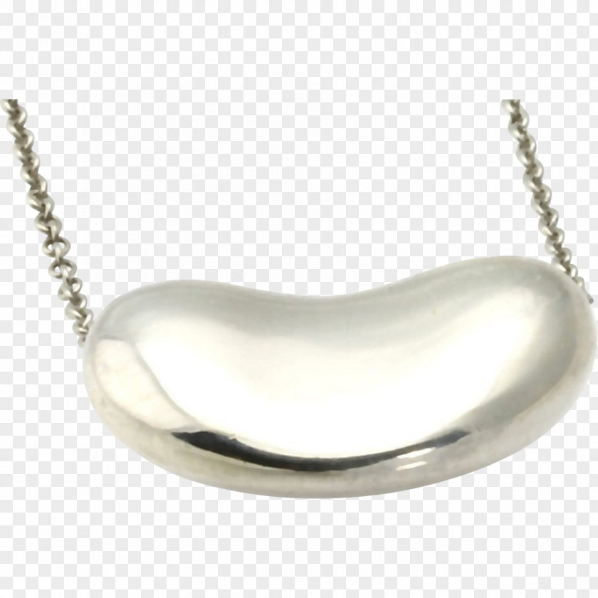 Necklace Locket Silver Chain PNG