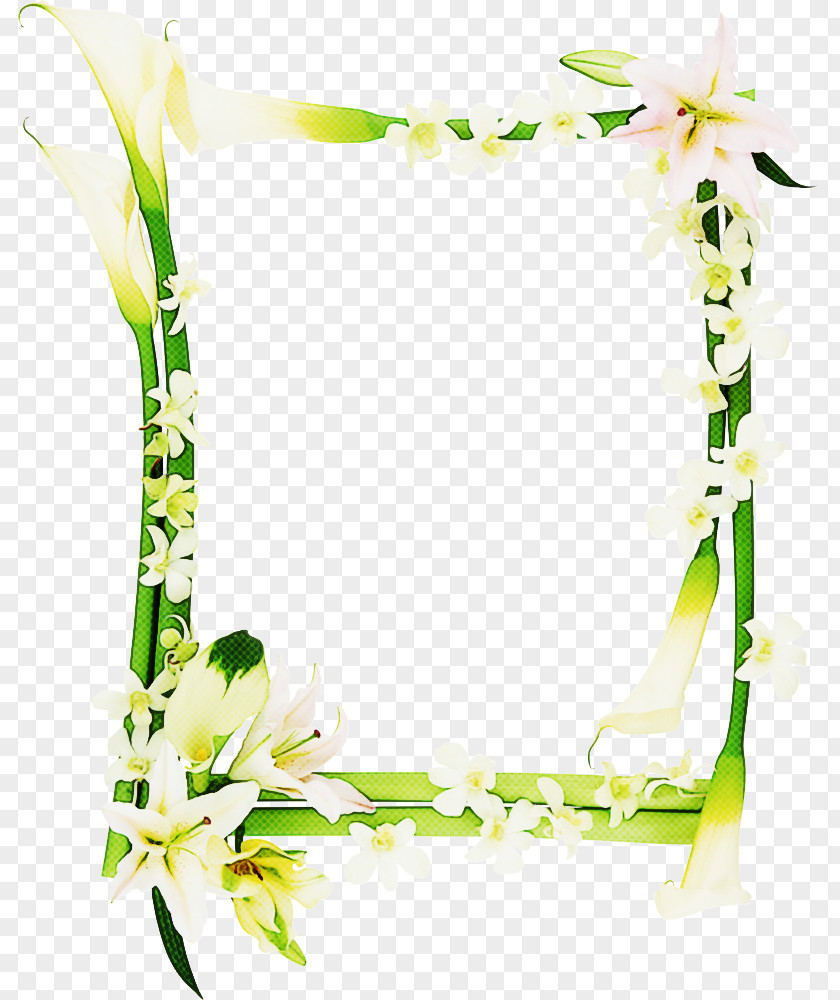 Plant Picture Frame Flower Background PNG