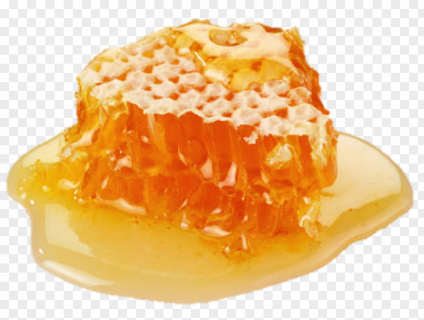 Honey Bee Nectar PNG