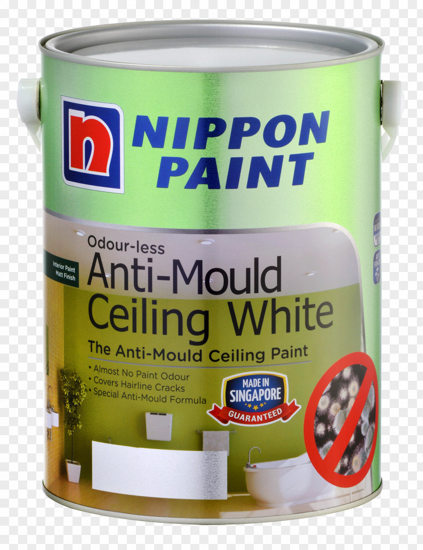 Paint Nippon Mold Ceiling Color PNG