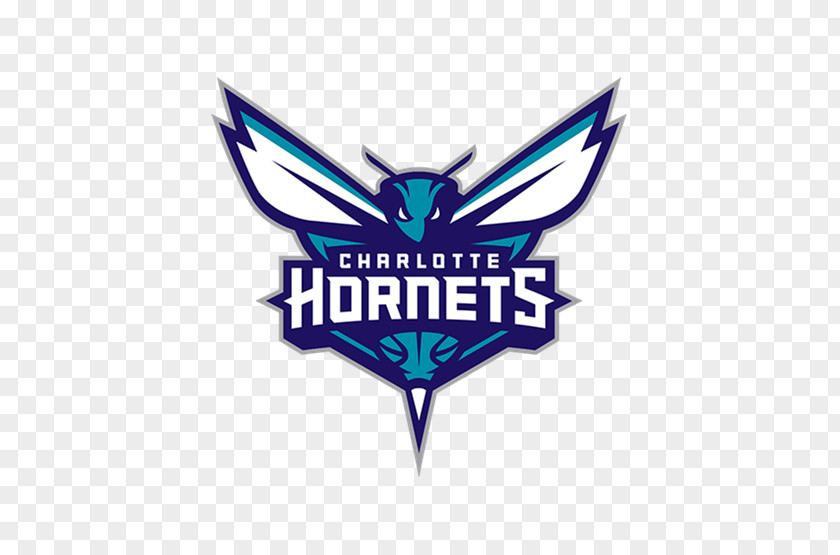 Basketball Charlotte Hornets 2001–02 NBA Season Coach PNG