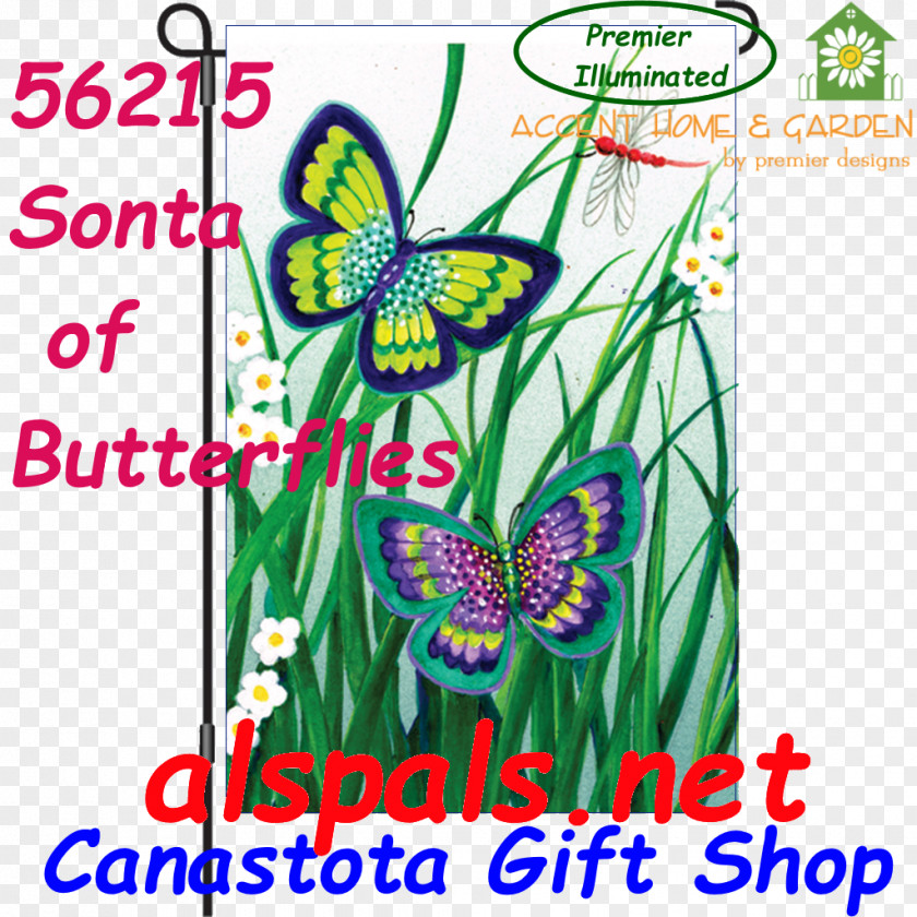 Butterfly Brush-footed Butterflies Cut Flowers Salter-Osteotomie PNG