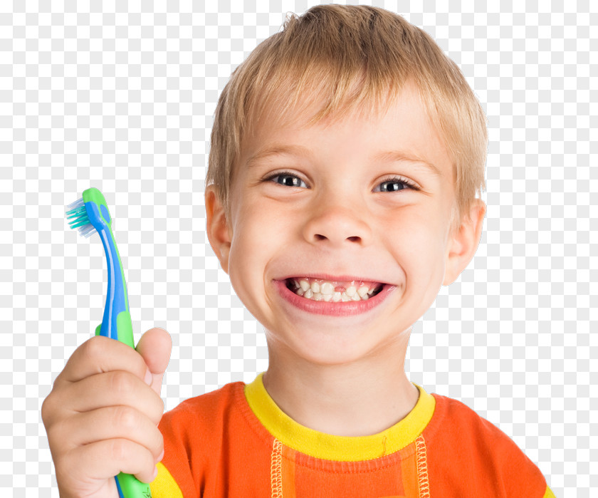 Child Pediatric Dentistry Human Tooth PNG