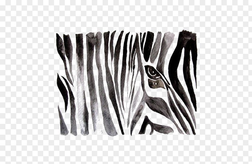 Drawing Zebra Black And White Watercolor Painting PNG