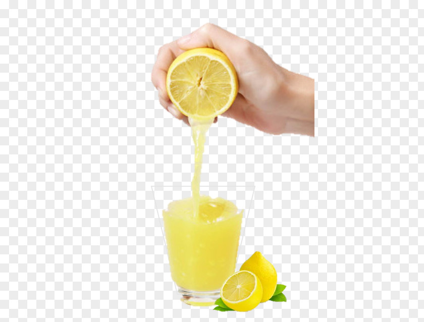 Lemon Juice Orange Lemonade PNG