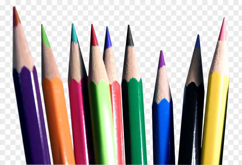 Pencil Colored Coloring Book PNG