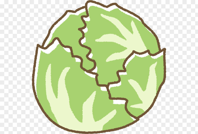 Photo Frame Clip Art Illustration Lettuce Produce Vegetable PNG