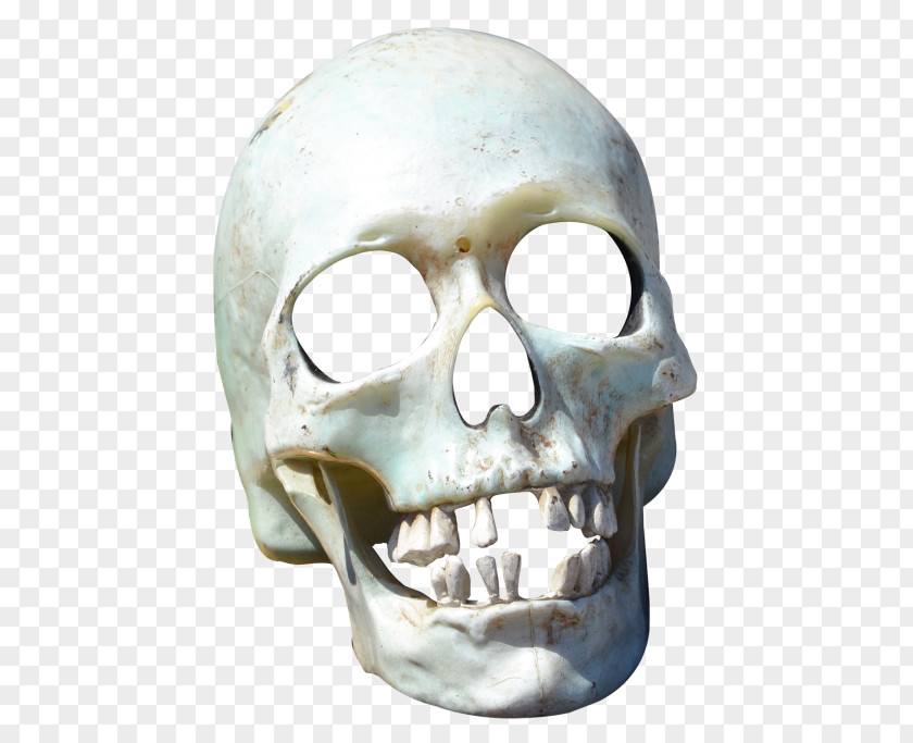 Skull PNG