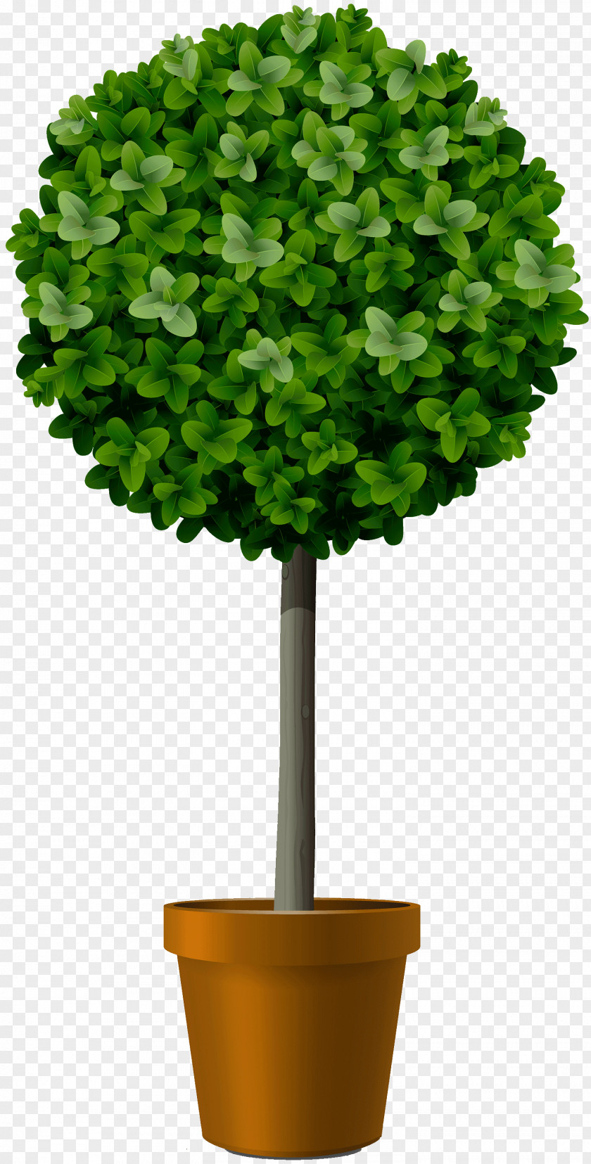 Tree Stock Photography Vector Graphics Topiary Shrub PNG