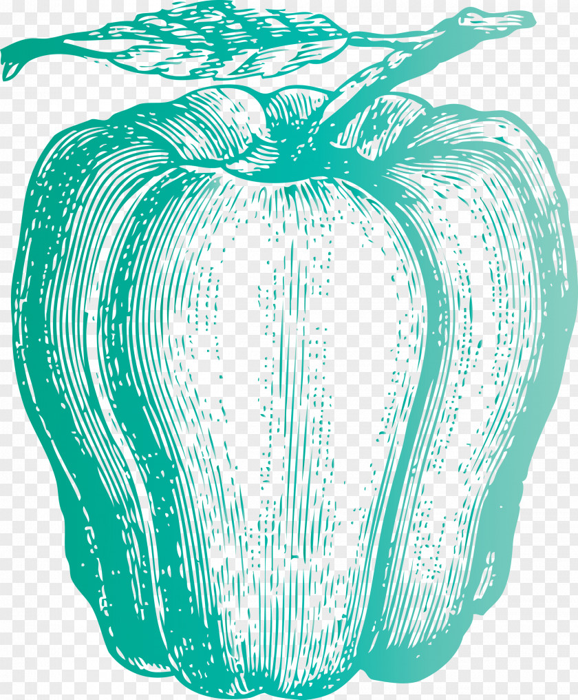 Vegetable PNG