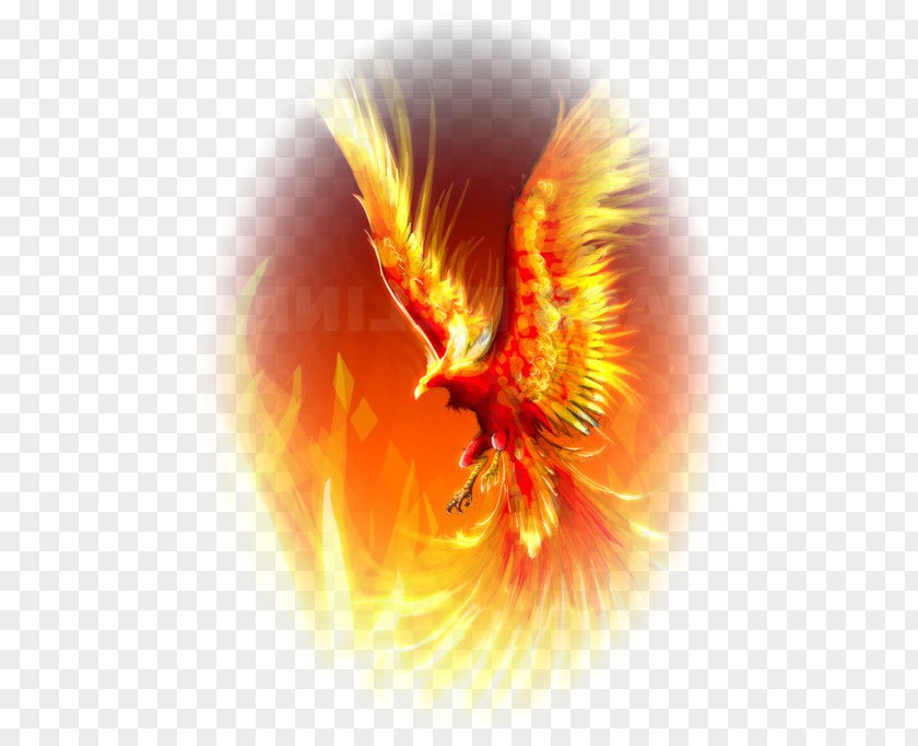 Consciousness The Flight Of Phoenix Vermilion Bird Mythology Legendary Creature PNG