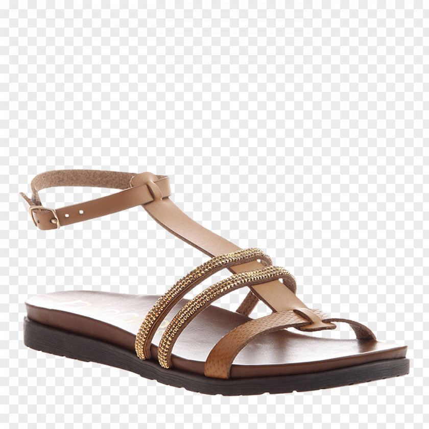 Flat Footwear High-heeled Shoe Sandal Slide PNG