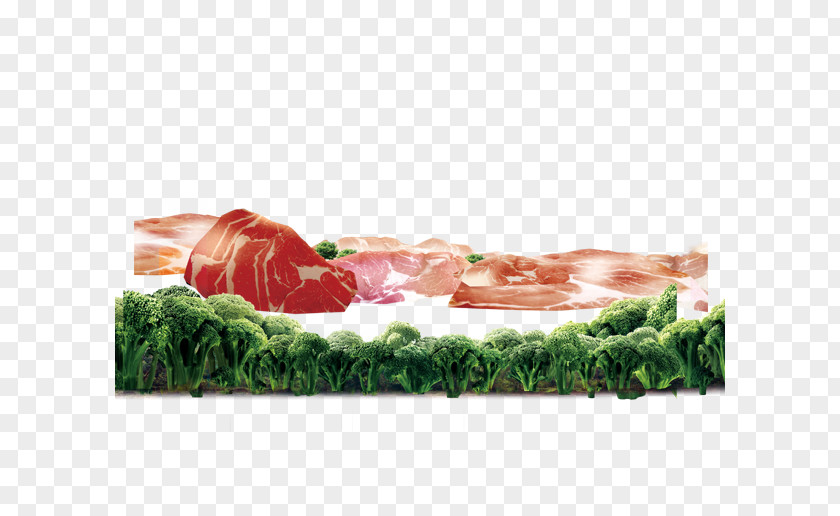 Meat And Broccoli Bresaola Asado PNG