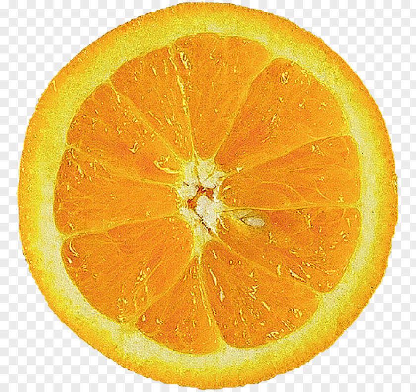 Orange Juice Food Slice PNG