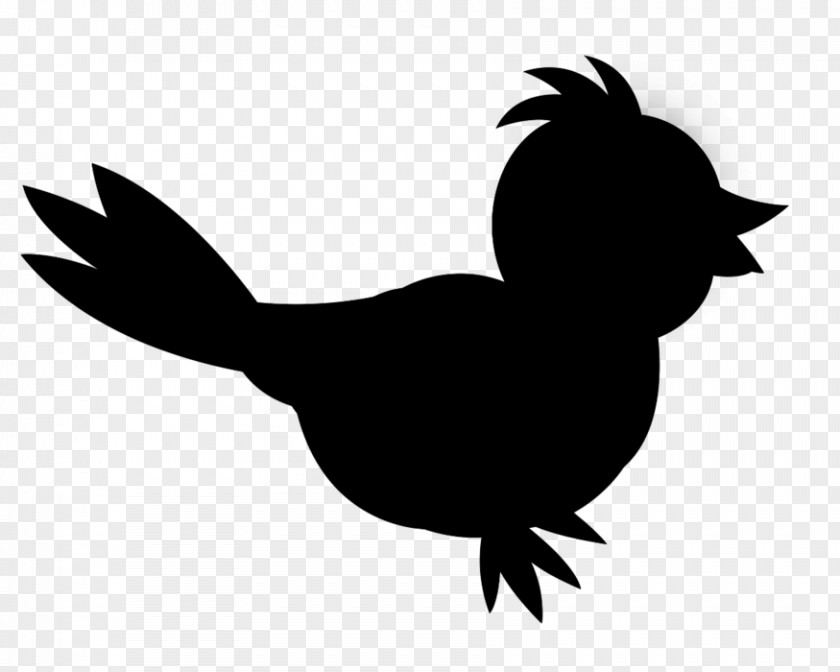 Rooster Chicken Clip Art Fauna Beak PNG