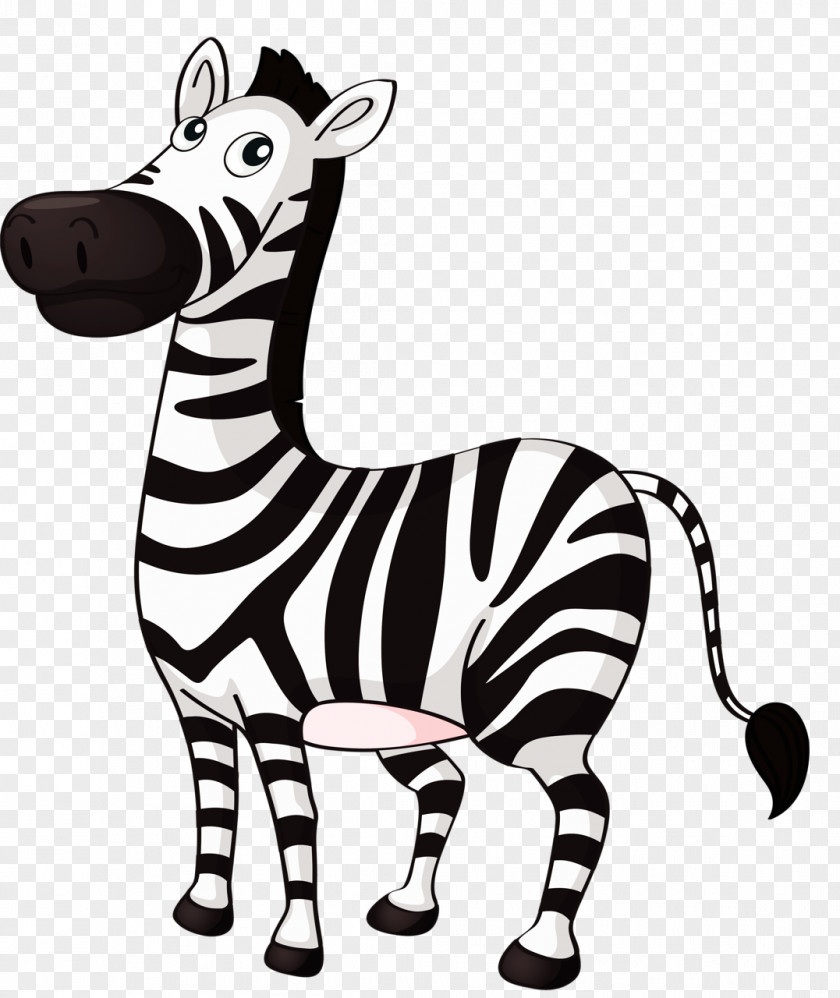 Zebra Clip Art PNG