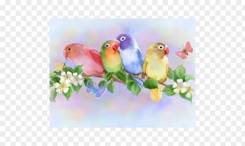 Bird Watercolor Painting Lovebird PNG